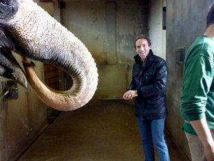 Peter Schick füttert gern die Elefanten. Die Dickhäuter imponieren ihm: „Sie sind sehr klug und sehr sensibel.“